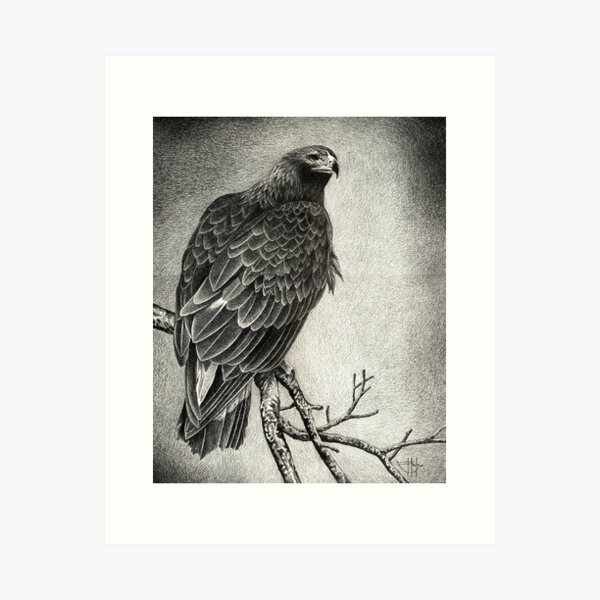 Item preview, The Sentinel designed and sold by John Houle.