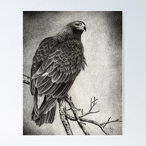 Item preview, The Sentinel designed and sold by John Houle.