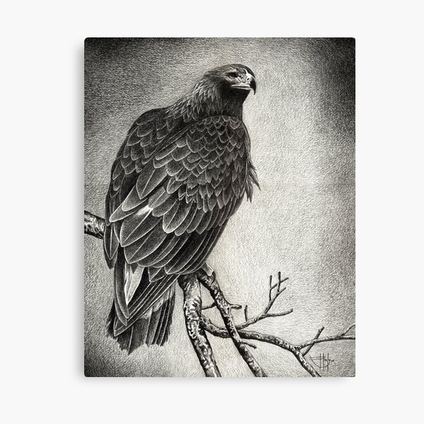 Item preview, The Sentinel designed and sold by John Houle.