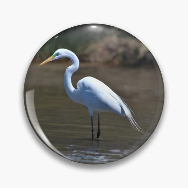 Item preview, Green eyed Egret designed and sold by searchlight.
