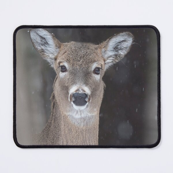 Item preview, Beautiful White-tailed Deer in the North Woods of Michigan designed and sold by TheCurators.