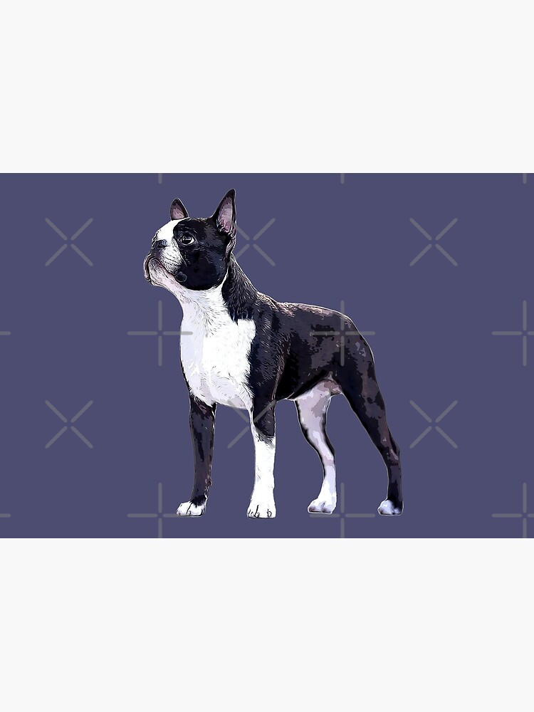 Boston Terrier Dog - Jigsaw Puzzle