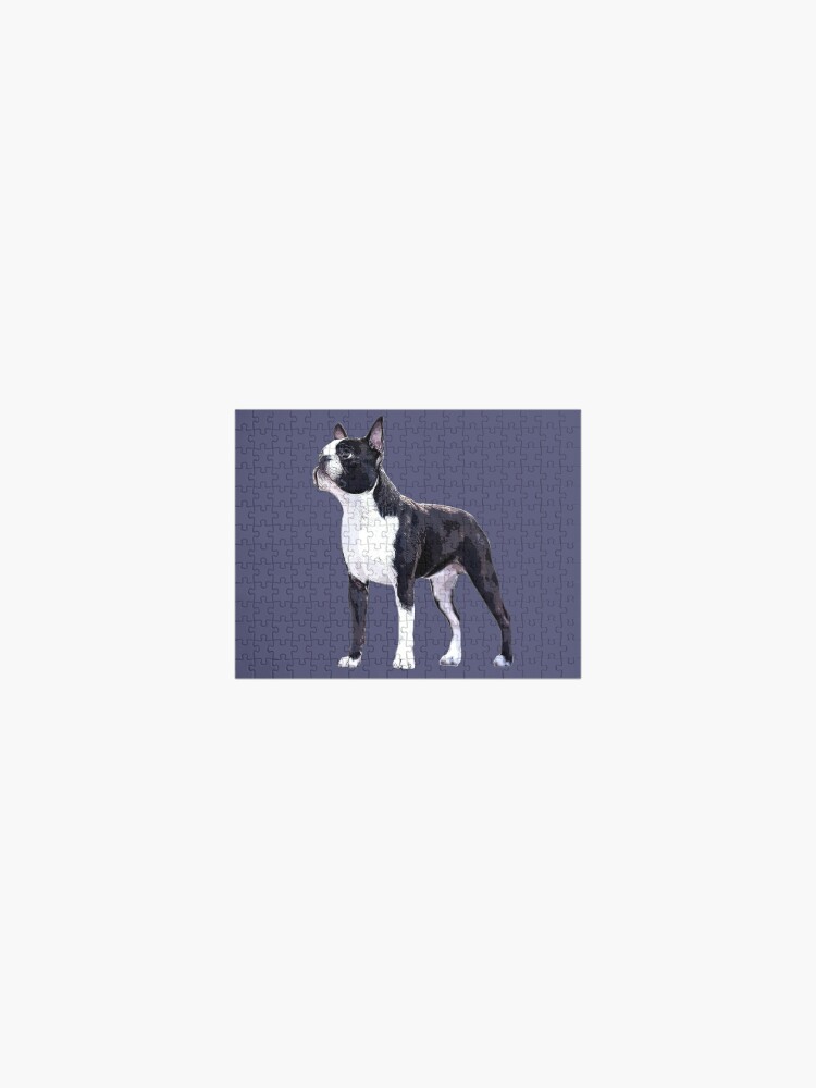 Boston Terrier Dog - Jigsaw Puzzle