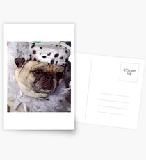 Moxy II Postcards