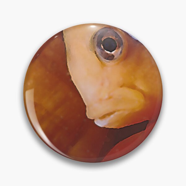Item preview, Clownfish in anemone designed and sold by Twenty Twenty Visions.