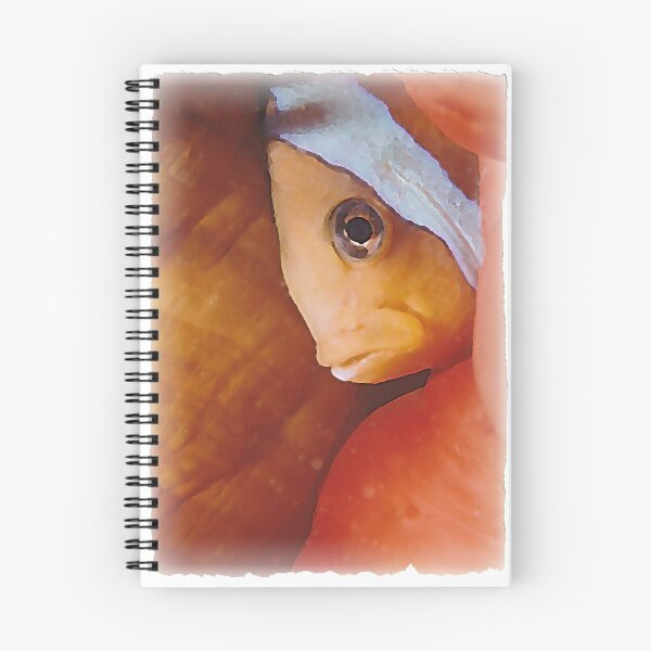 Item preview, Clownfish in anemone designed and sold by Twenty Twenty Visions.