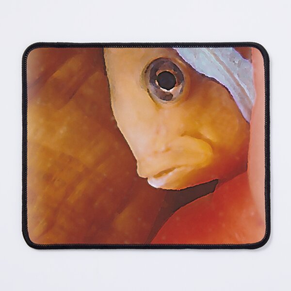 Item preview, Clownfish in anemone designed and sold by Twenty Twenty Visions.