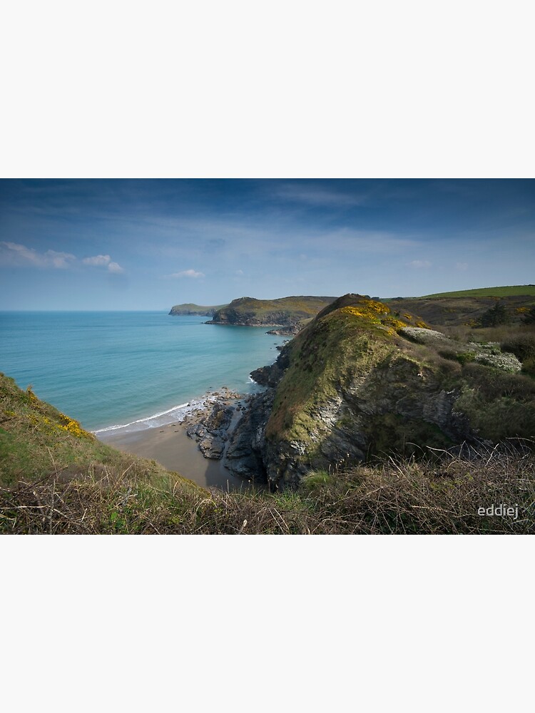 "Port Quin bay Cornwall" Poster for Sale by eddiej Redbubble