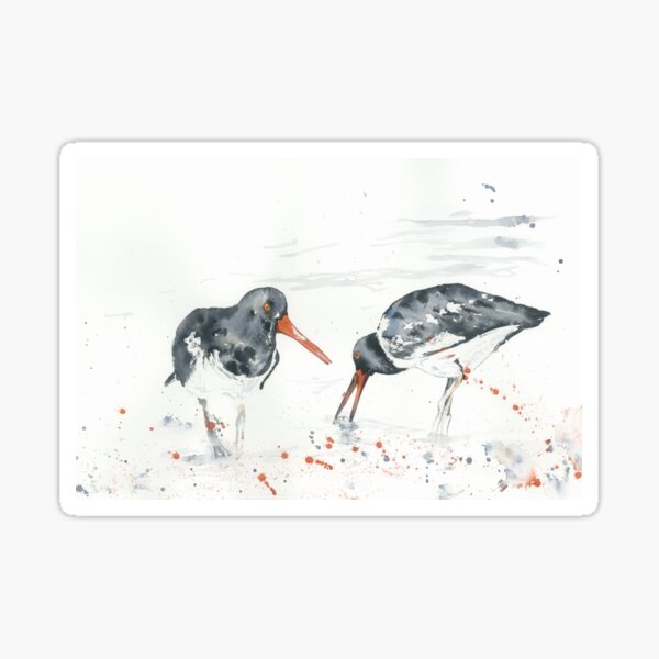 "Oyster catchers" Sticker by CorinneMatus Redbubble