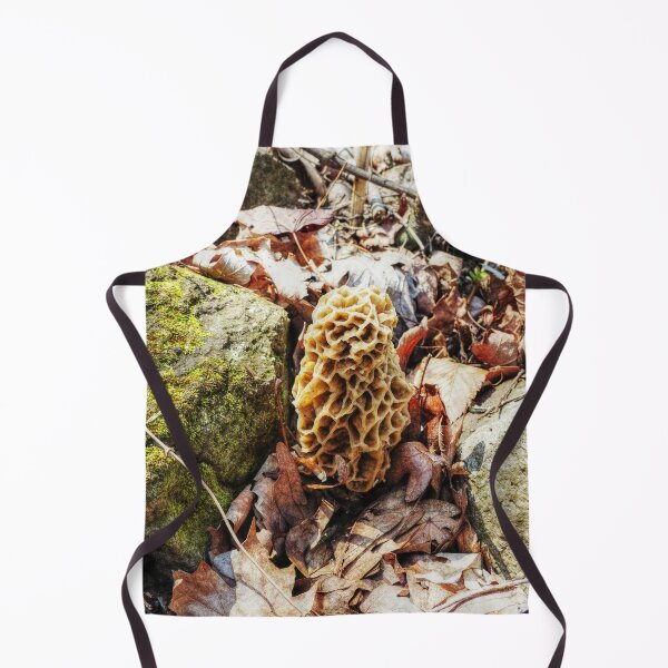 Item preview, Morel Mushroom in the Wild designed and sold by Frankie Cat Photography.