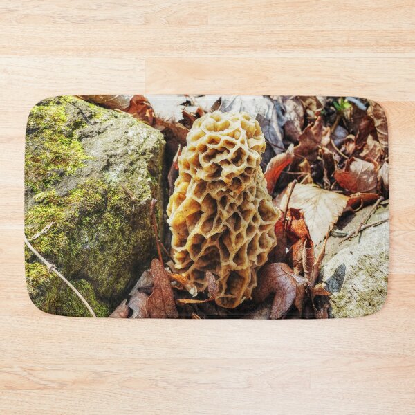 Item preview, Morel Mushroom in the Wild designed and sold by Frankie Cat Photography.