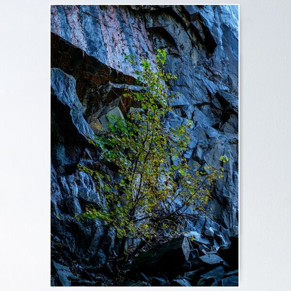 Item preview, Hodge Close #1 designed and sold by ccullen222.