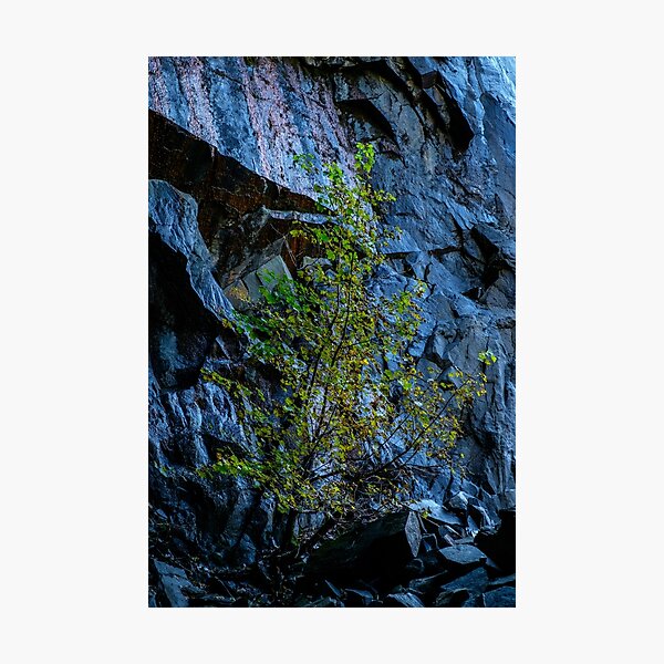 Item preview, Hodge Close #1 designed and sold by ccullen222.