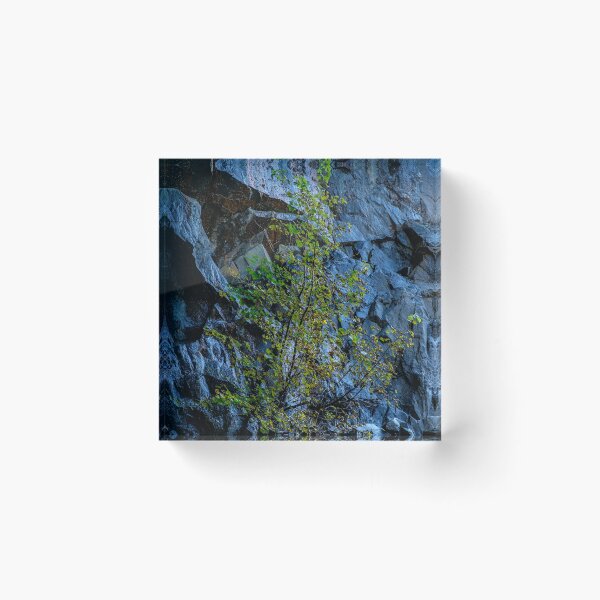 Item preview, Hodge Close #1 designed and sold by ccullen222.