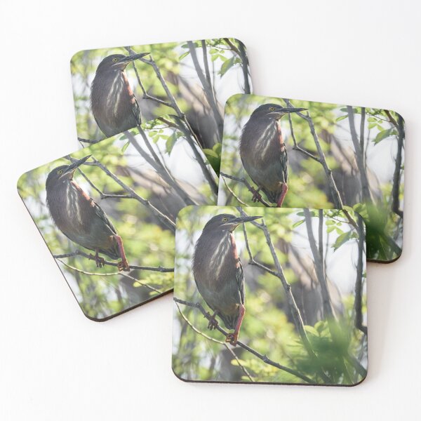 Item preview, Green Heron designed and sold by Debra Martz.