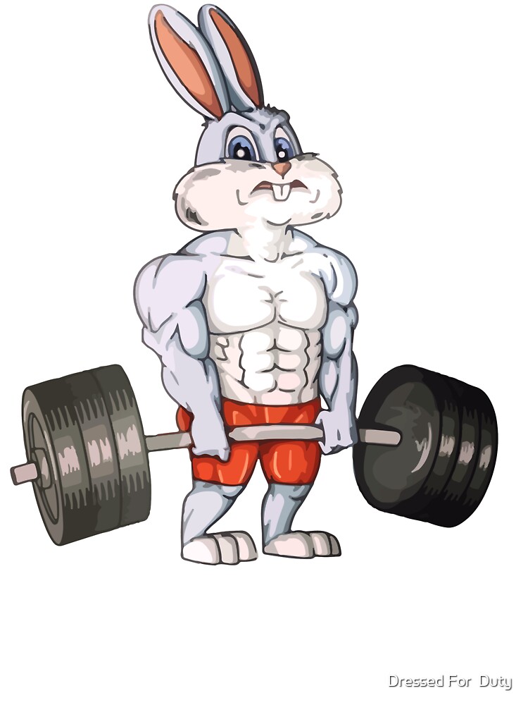 40+ Weightlifting Rabbit Stock Illustrations, Royalty-Free Vector