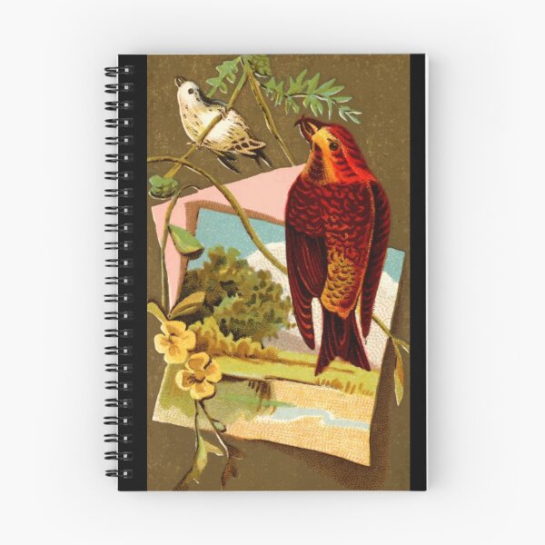 Item preview, Vintage Crossbill Finch, Birdwatching designed and sold by TexasGalMidge.