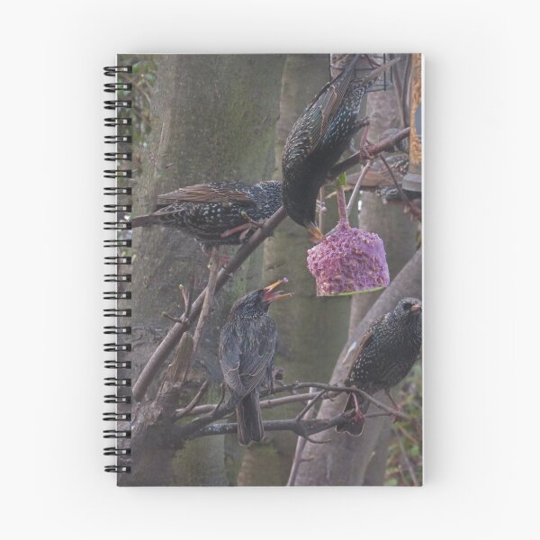 Item preview, Birds sharing a feeder designed and sold by Sandra Willis.