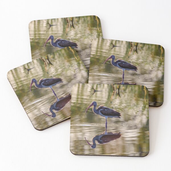 Item preview, Immature White Ibis at Sunrise designed and sold by Debra Martz.