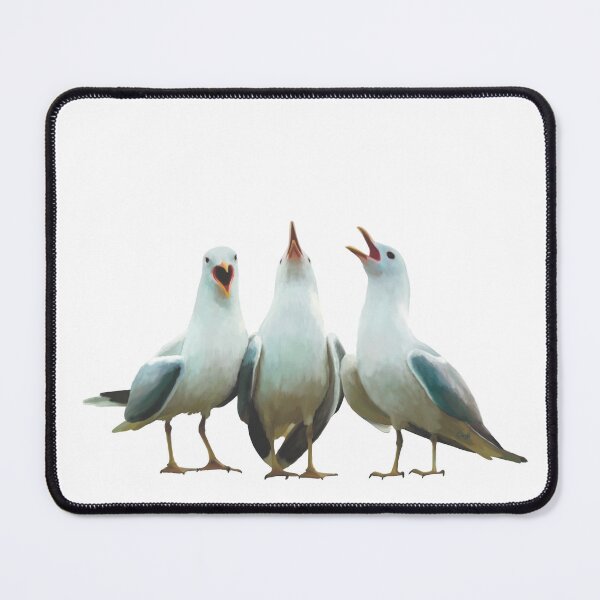 Item preview, Trio of squawking seagulls. Beach theme decor, original artwork. Unique gift. designed and sold by PlumpPlumStudio.