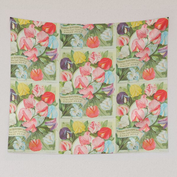 Item preview, Sweet Peas: 1906 seed catalogue illustration designed and sold by gumbogirlonline.
