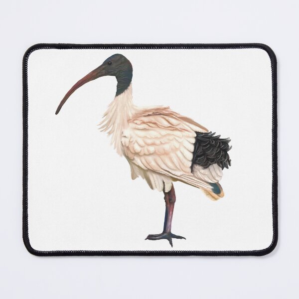 Item preview, Bin Chook otherwise known as the White Australian Ibis. Unique/original artwork designed and sold by PlumpPlumStudio.