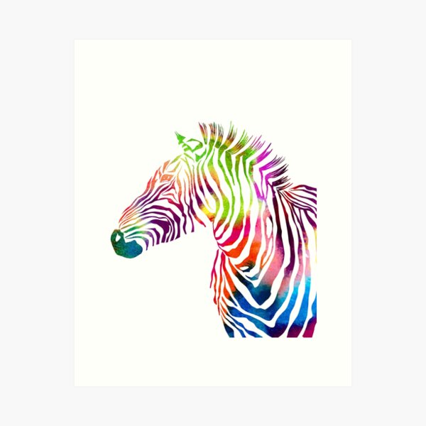 Rainbow Zebra - Art Prints