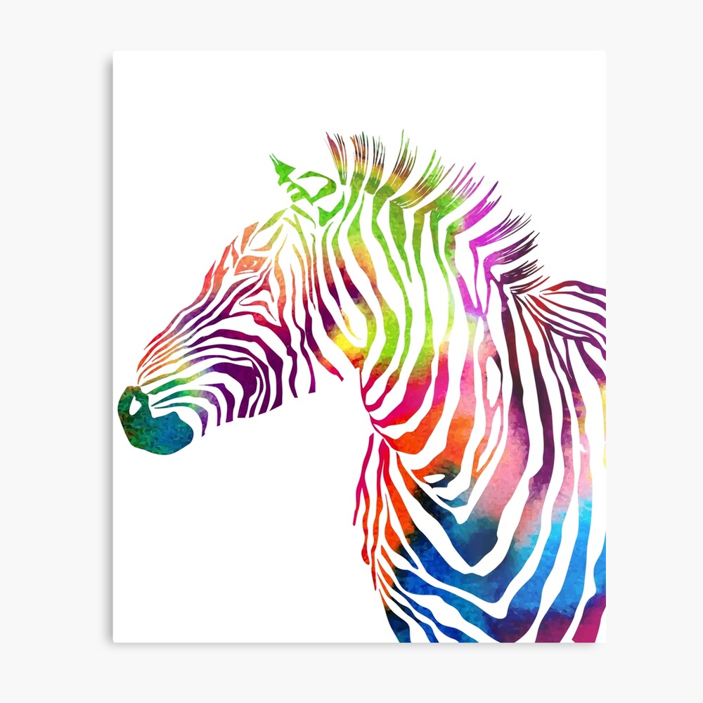 Rainbow Zebra canvas prints