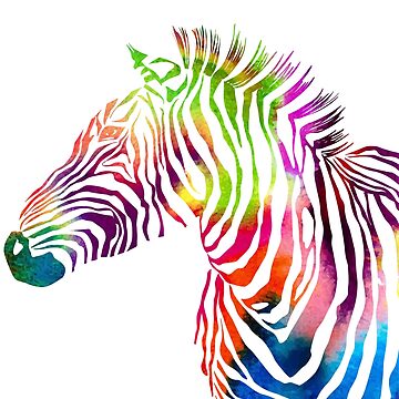 Canvas Print Rainbow zebra 