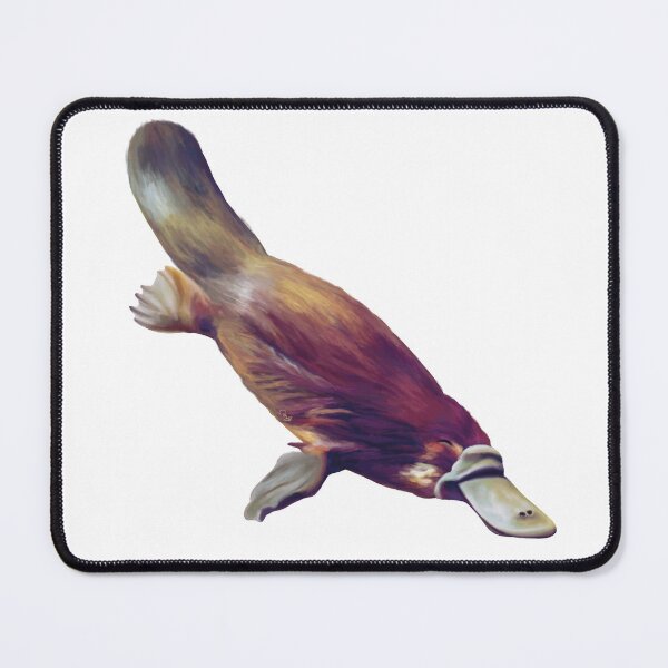 Item preview, Australian Platypus swimming. Gorgeous monotreme artwork. Original painting, unique gift.  designed and sold by PlumpPlumStudio.