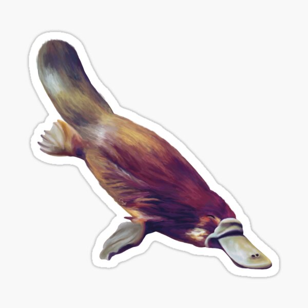 Item preview, Australian Platypus swimming. Gorgeous monotreme artwork. Original painting, unique gift.  designed and sold by PlumpPlumStudio.
