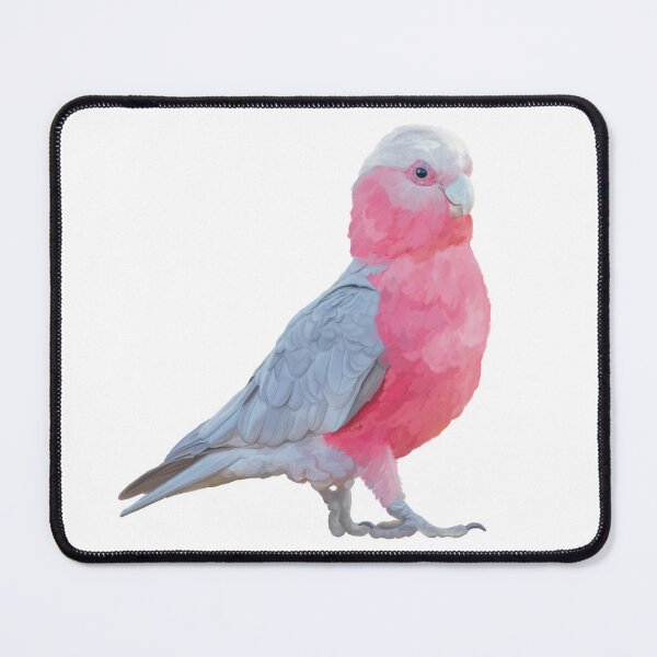 Item preview, Australian Pink and Grey Galah. Strutting his stuff! Beautiful australian parrot. Original artwork designed and sold by PlumpPlumStudio.