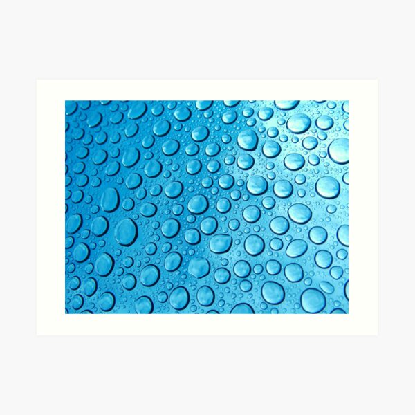Dew Drops Art Print