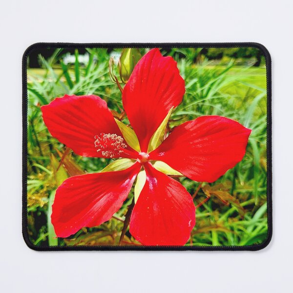 Item preview, Red in Bloom designed and sold by SDC Original Designs.