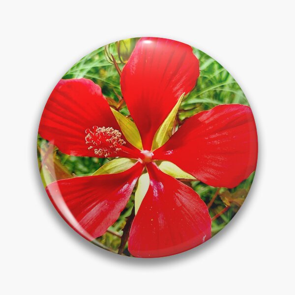 Item preview, Red in Bloom designed and sold by SDC Original Designs.