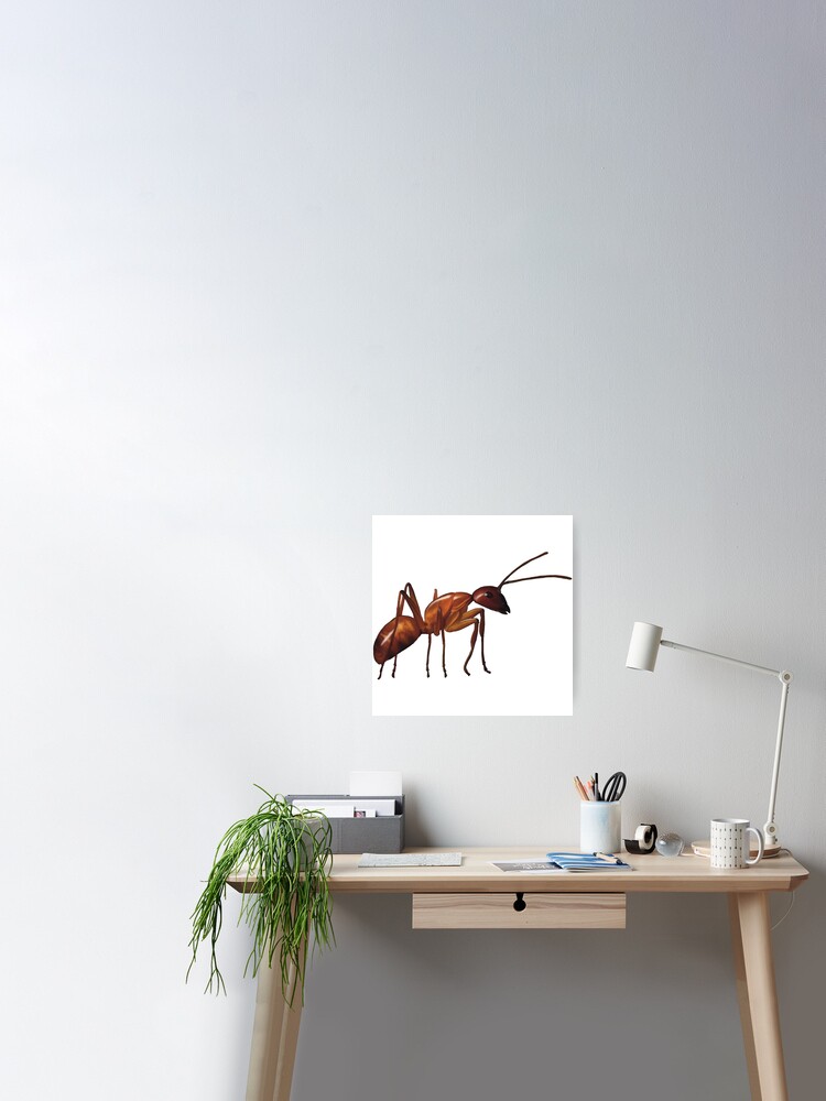 The humble brown ant. Adorable hardworking insect. Realistically  illustrated, will make a very unique gift Poster for Sale by  PlumpPlumStudio