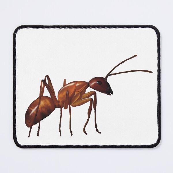 Item preview, The humble brown ant. Adorable hardworking insect. Realistically illustrated, will make a very unique gift designed and sold by PlumpPlumStudio.