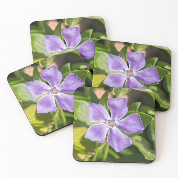 Item preview, Blooming Vinca major pretty purple wild flower designed and sold by StohlerPhotos.