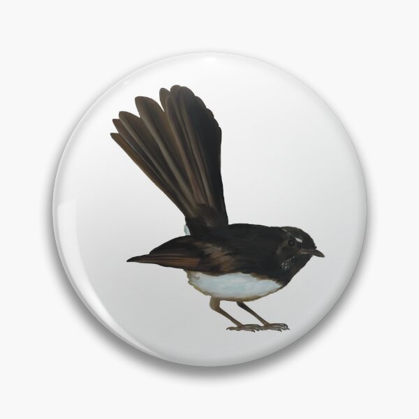 Item preview, Australian Willie Wagtail illustration, Willy Wag Tail artwork, cute little bird, backyard bird art designed and sold by PlumpPlumStudio.