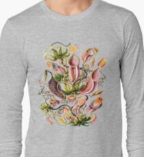"Carnivorous Plant" Horticulture, Venus Flytrap Houseplant Long Sleeve T-Shirt