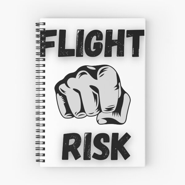Item preview, FLIGHT RISK : Plane fight designed and sold by MamaNeeaDesigns.