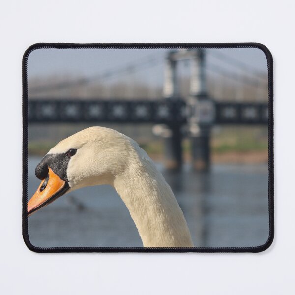 Item preview, Mute swan and ferry bridge designed and sold by GreyFeatherPhot.