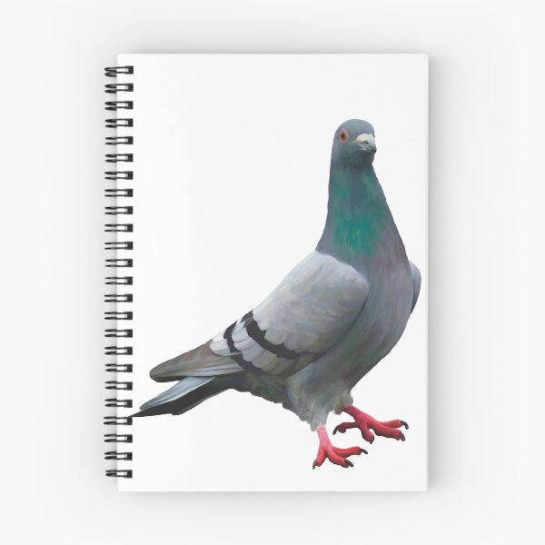 Artikelvorschau, Stolze Taubenillustration. Elegante Taubenkunst. Geschenk für Vogelliebhaber. Einzigartiges Geschenk entworfen und verkauft von PlumpPlumStudio.