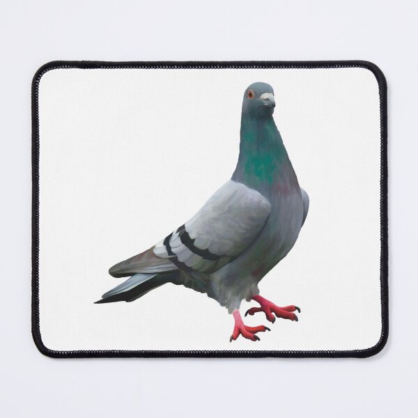 Item preview, Proud Pigeon illustration. Elegant pigeon art. Bird lover gift. Unique gift designed and sold by PlumpPlumStudio.
