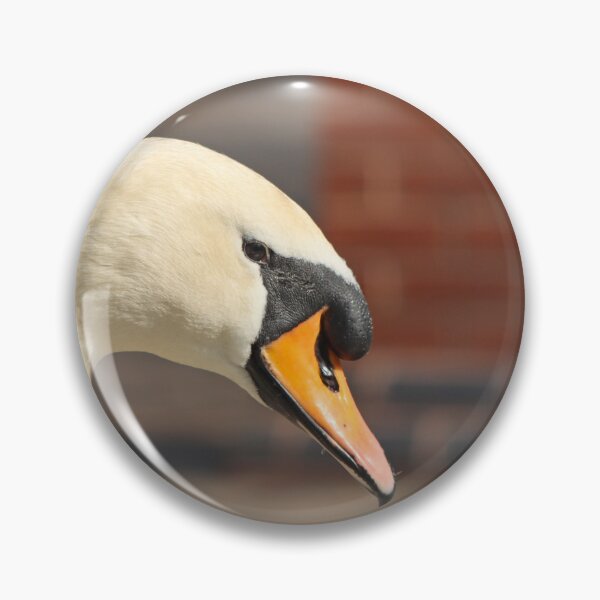 Item preview, Elegant mute swan designed and sold by GreyFeatherPhot.