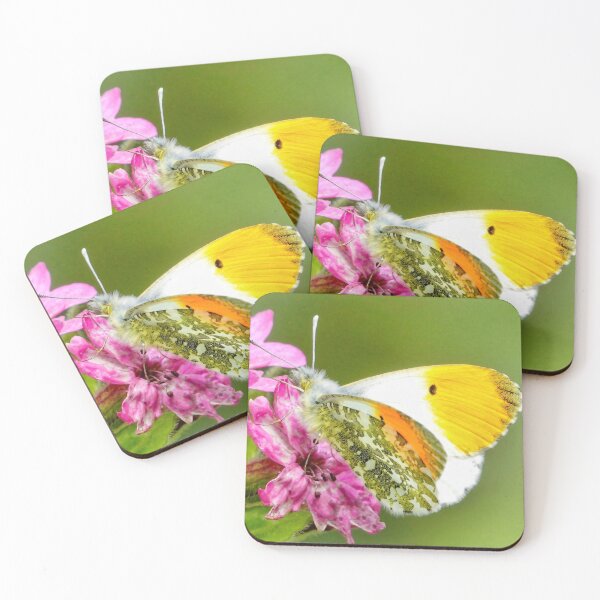 Item preview, “ Orange Tip On Campion “ designed and sold by Richard Couchman.