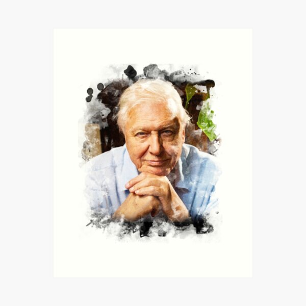 Item preview, David Attenborough Watercolour designed and sold by JDempzz.