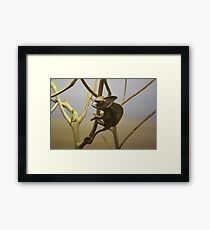 ya Framed Print