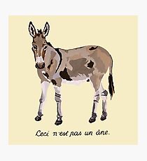 This is not a donkey Photographic Print
