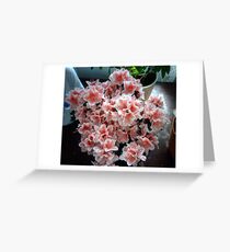 Azaleas Greeting Card
